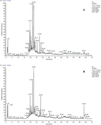 Total Flavonoids of Drynariae Rhizoma Improve Glucocorticoid-Induced Osteoporosis of Rats: UHPLC-MS-Based Qualitative Analysis, Network Pharmacology Strategy and Pharmacodynamic Validation